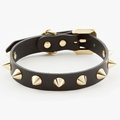 Golden Spike Dog Collar - Premium Adjustable Black Collar with Gold Hardware | Durable & Stylish