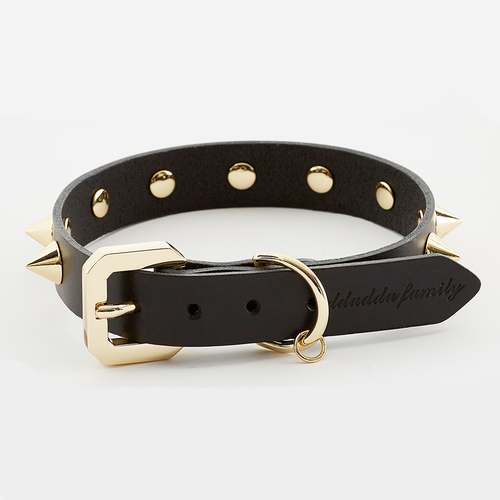Golden Spike Dog Collar - Premium Adjustable Black Collar with Gold Hardware | Durable & Stylish
