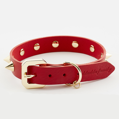 Golden Spike Red Collar - Premium Adjustable Dog Collar with Stylish Gold Hardware for Durability