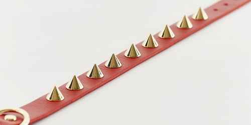 Golden Spike Red Collar