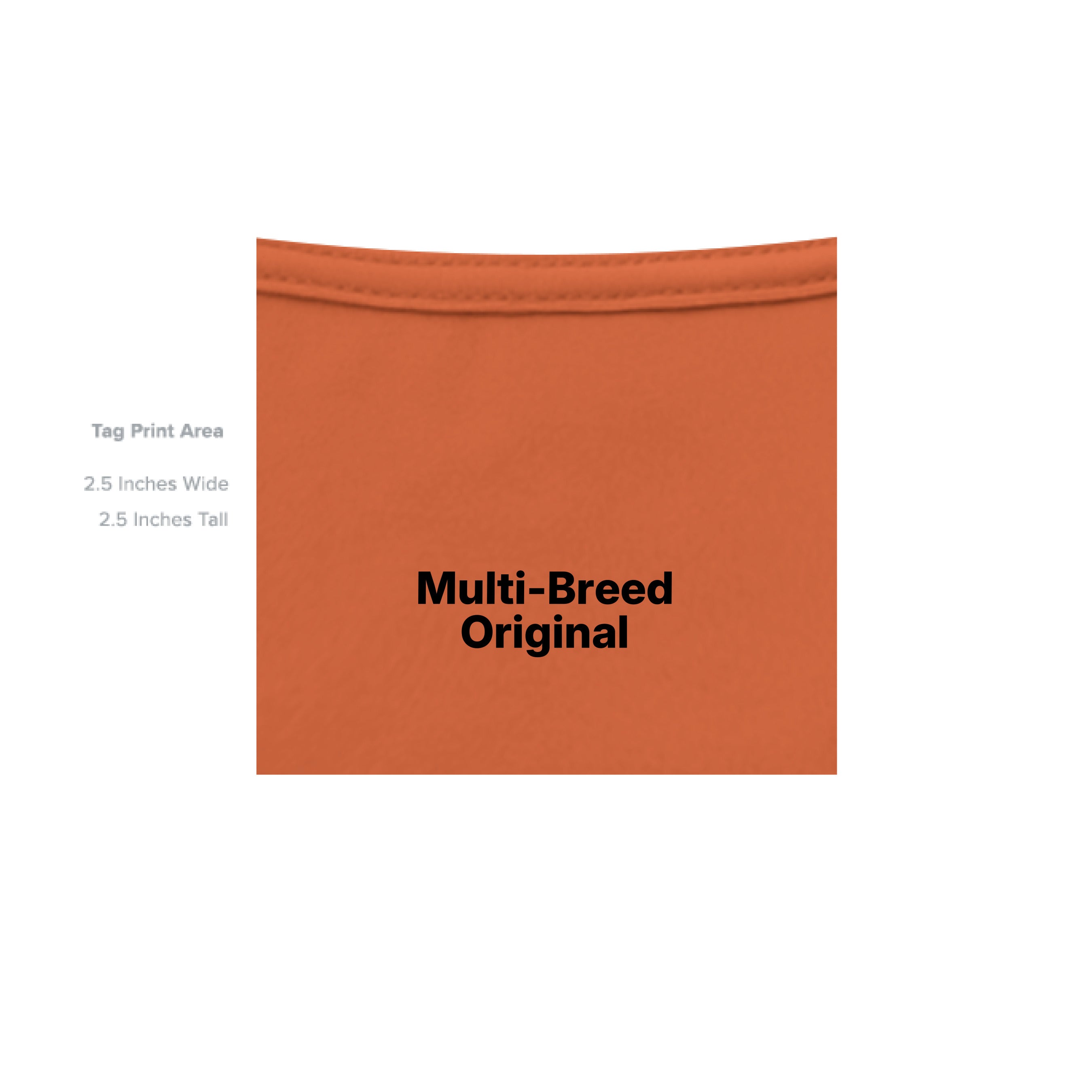 ORANGE - INSIDE_TAG_LINE
