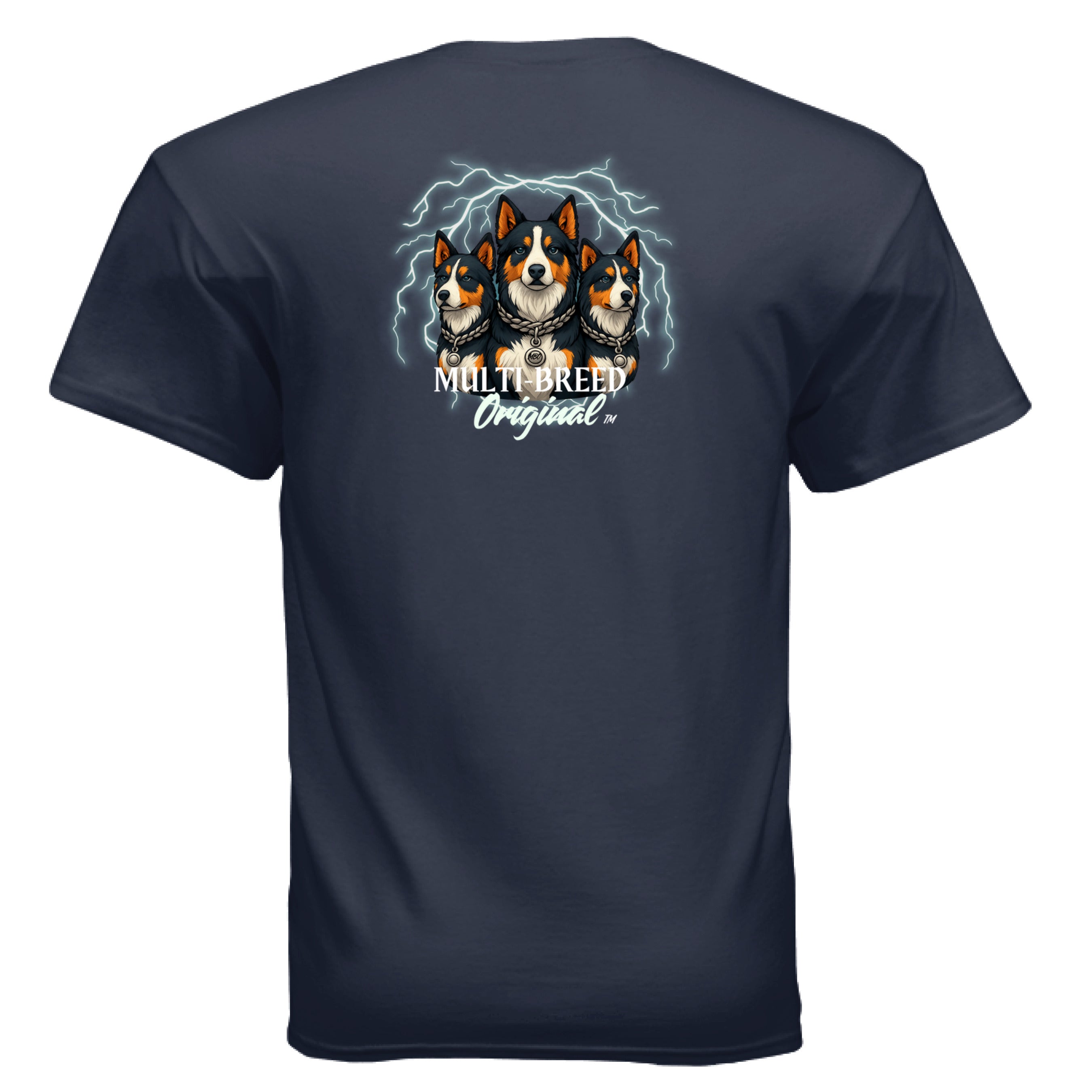 NAVY - BACK