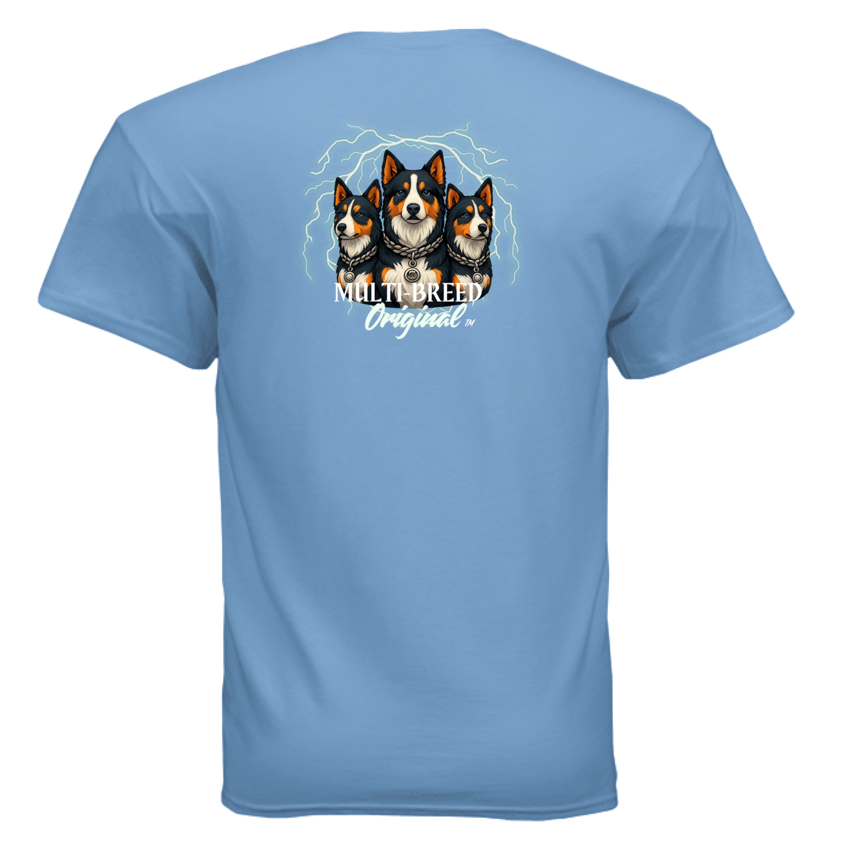 CAROLINA BLUE - BACK